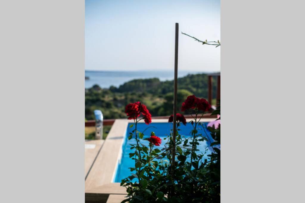 Etno Villa With A Pool - Matusanovi Dvori Rab Banjol 外观 照片